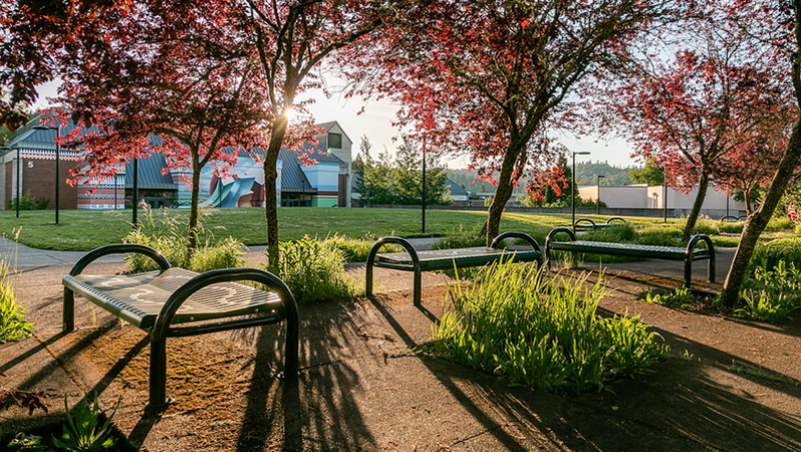 todo sobre moodle Ciudad Jardin